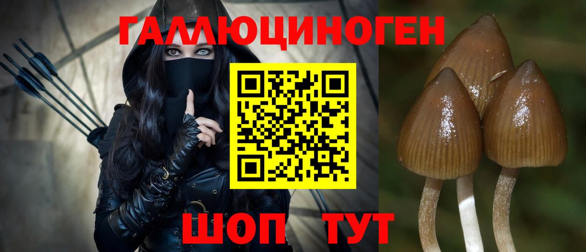 Псилоцибиновые грибы Psilocybe  Вход с VPN  Псилоцибиновые грибы Magic Shrooms  Артём 